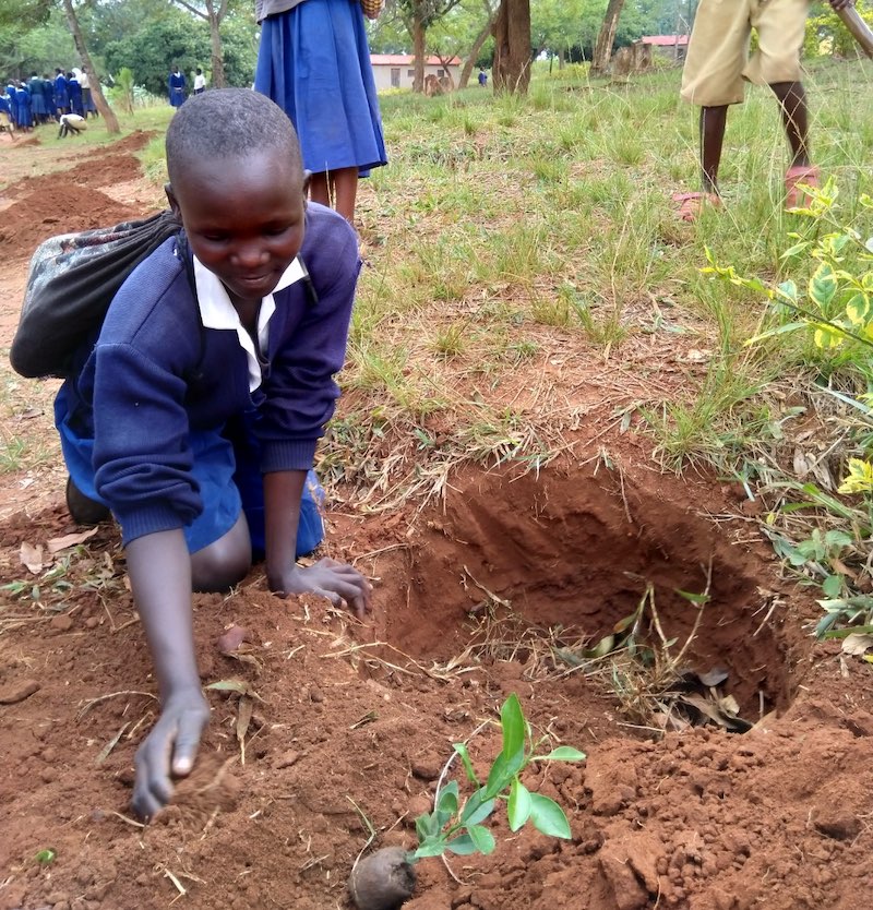 Tanzania Tree Planting